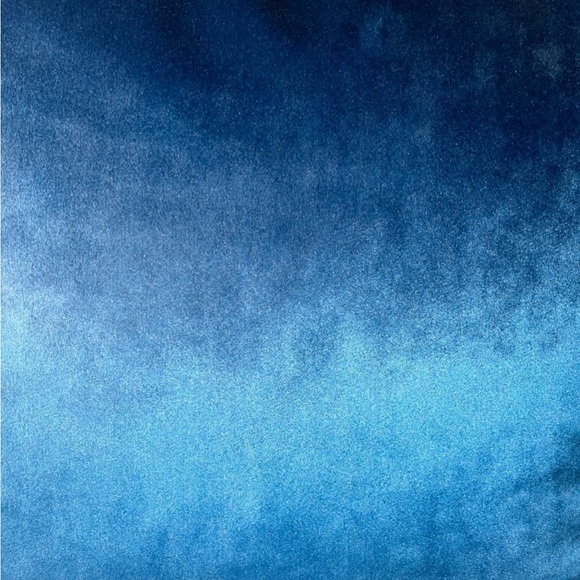 1-NEW RODEO HOME VELVET DECORATIVE PILLOWS (Read description for details) - Picture 7 of 12